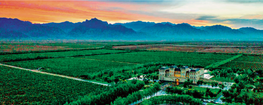 解鎖葡萄酒的“碳密碼”